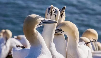 和田最新的高价医保个人账户余额微信查询方法分享(和田医保查询个人账户明细怎么查微信教程)