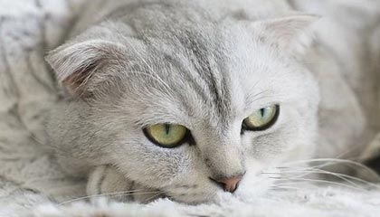 和田最新的高价找中介取公积金违法吗方法分享(和田中介取公积金怎么收费教程)