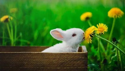 和田最新的高价医保卡惠民保险代扣怎么取消掉了方法分享(和田惠民医保怎么报销教程)